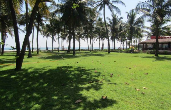 Mamalla Beach Resort – Wedding Venue in Chennai Gallery 4