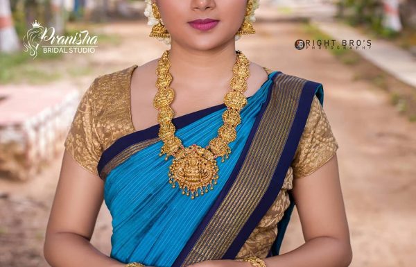PranishaBridalStudio & Designers – Coimbatore Bridal makeup artist PranishaBridalStudio Gallery 15