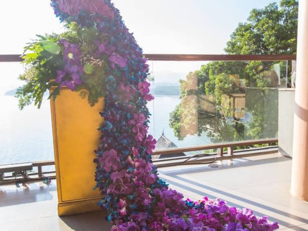 Wedding Planners Listing Category Purple grapes – Wedding venue in Jaipur